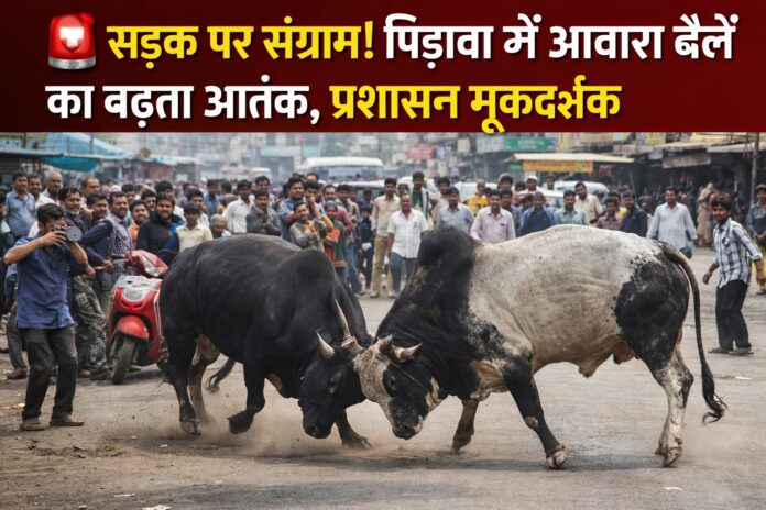 Pirawa-News सड़क पर संग्राम!