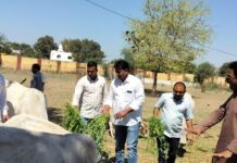 पूर्व मुख्यमंत्री वसुंधरा राजे का जन्मदिन पिड़ावा में हर्षोल्लास से मना, सूरजकुंड महादेव का किया अभिषेक और गौसेवा कर दीर्घायु की कामना पूर्व मुख्यमंत्री वसुंधरा राजे का जन्मदिन