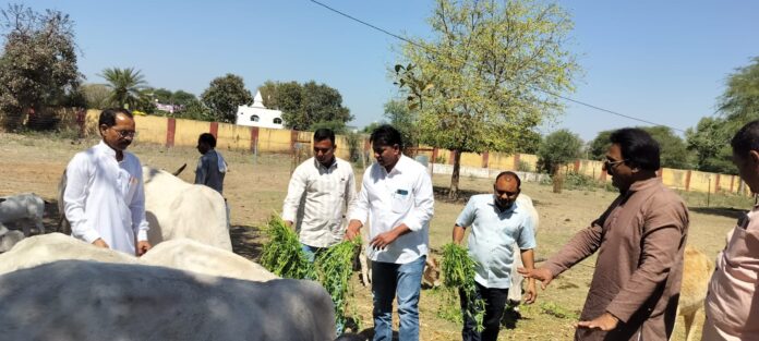 पूर्व मुख्यमंत्री वसुंधरा राजे का जन्मदिन