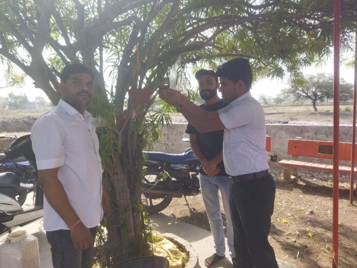 चिलचिलाती धूप में पक्षियों के लिए जुटाया दाना-पानी!