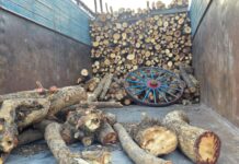 रायपुर में लकड़ी माफियाओं के ‘अवैध किलों’ पर वन विभाग का सर्जिकल स्ट्राइक! 3 आरा मशीनें जप्त; भारी मात्रा में कीमती लकड़ी ज़ब्त, खलबली रायपुर में लकड़ी माफियाओं के खिलाफ कार्यवाही