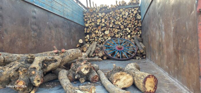 Raipur-News रायपुर में लकड़ी माफियाओं के खिलाफ कार्यवाही